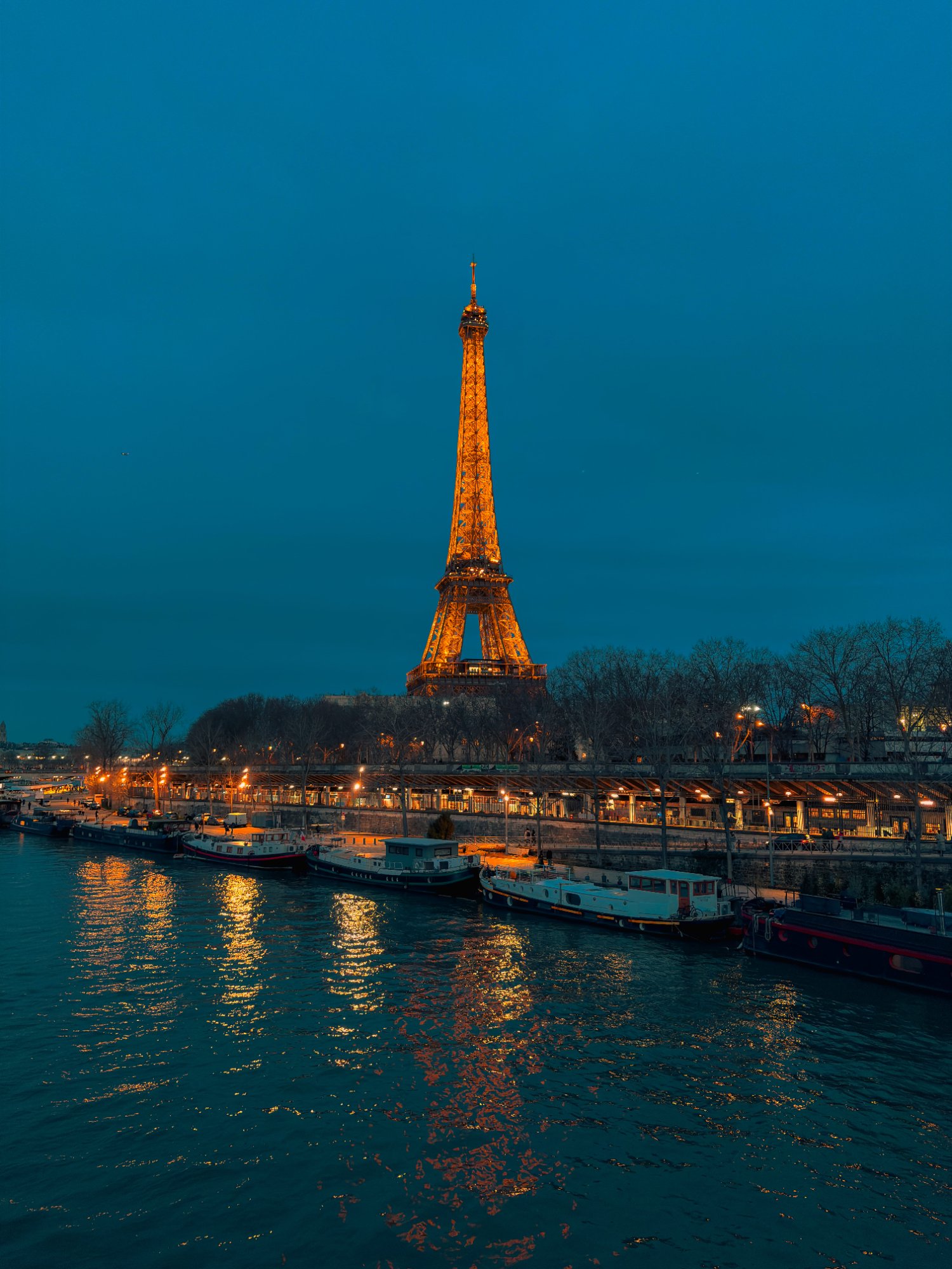 Eiffel Tower at Night